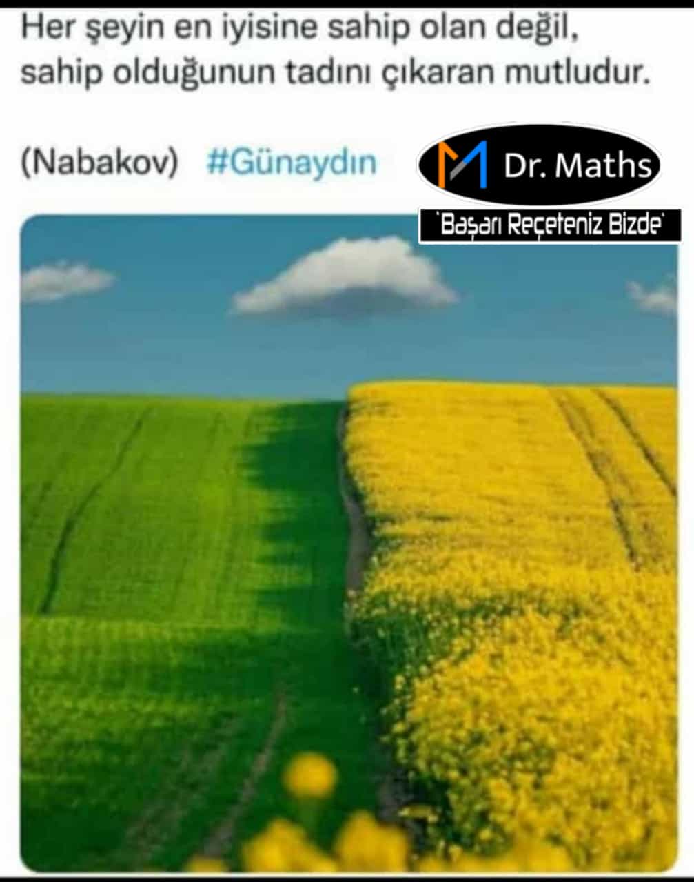 1 ekstralar (167).jpg